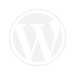 Wordpress-LJK-Digital-Empire-Optimized.png